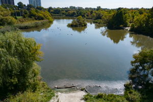  Photo 51