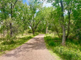 Coal Creek Trail