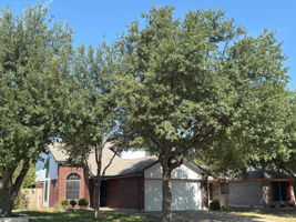 Majestic trees provide beauty and shade.