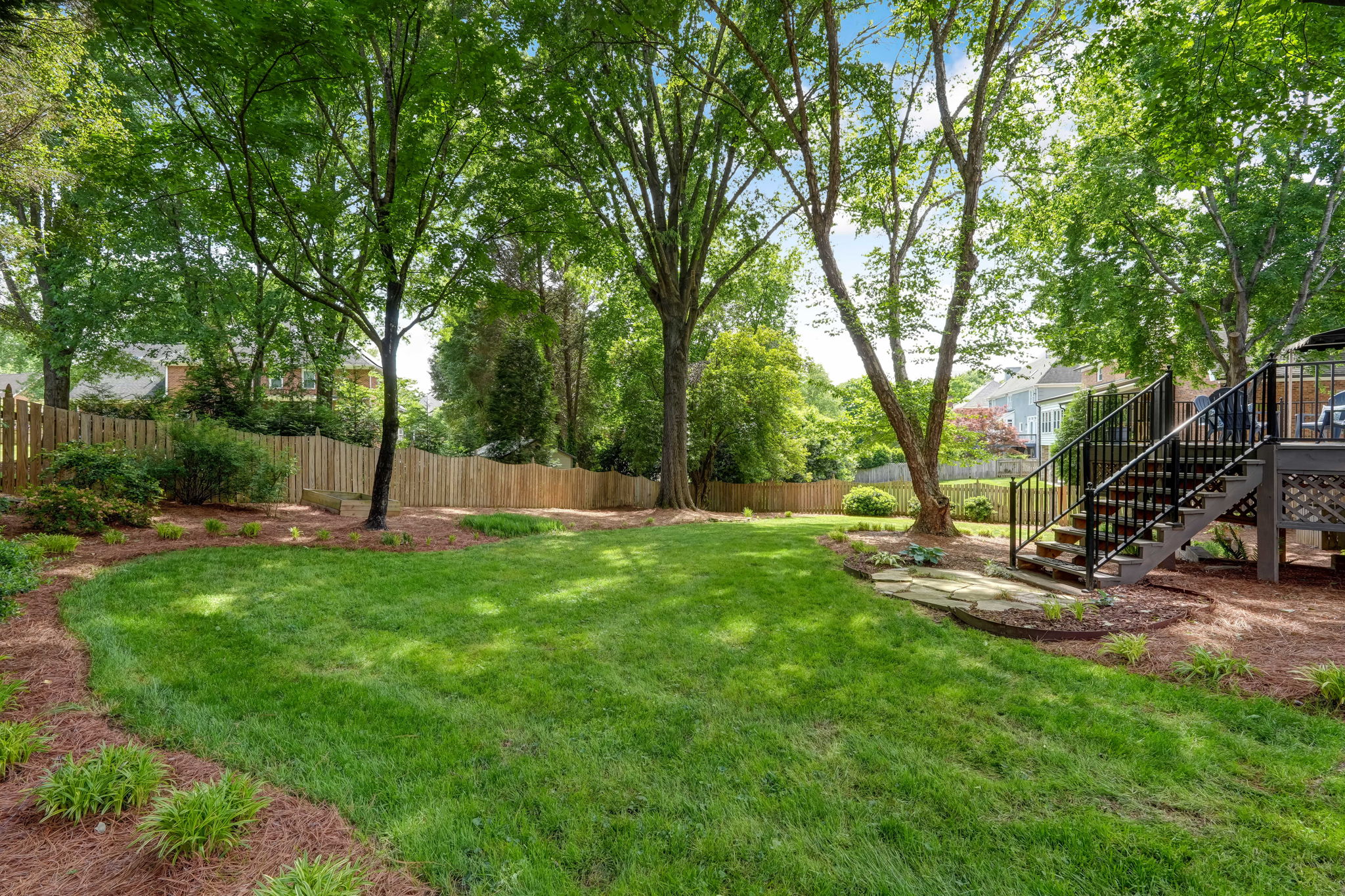 Back Yard
