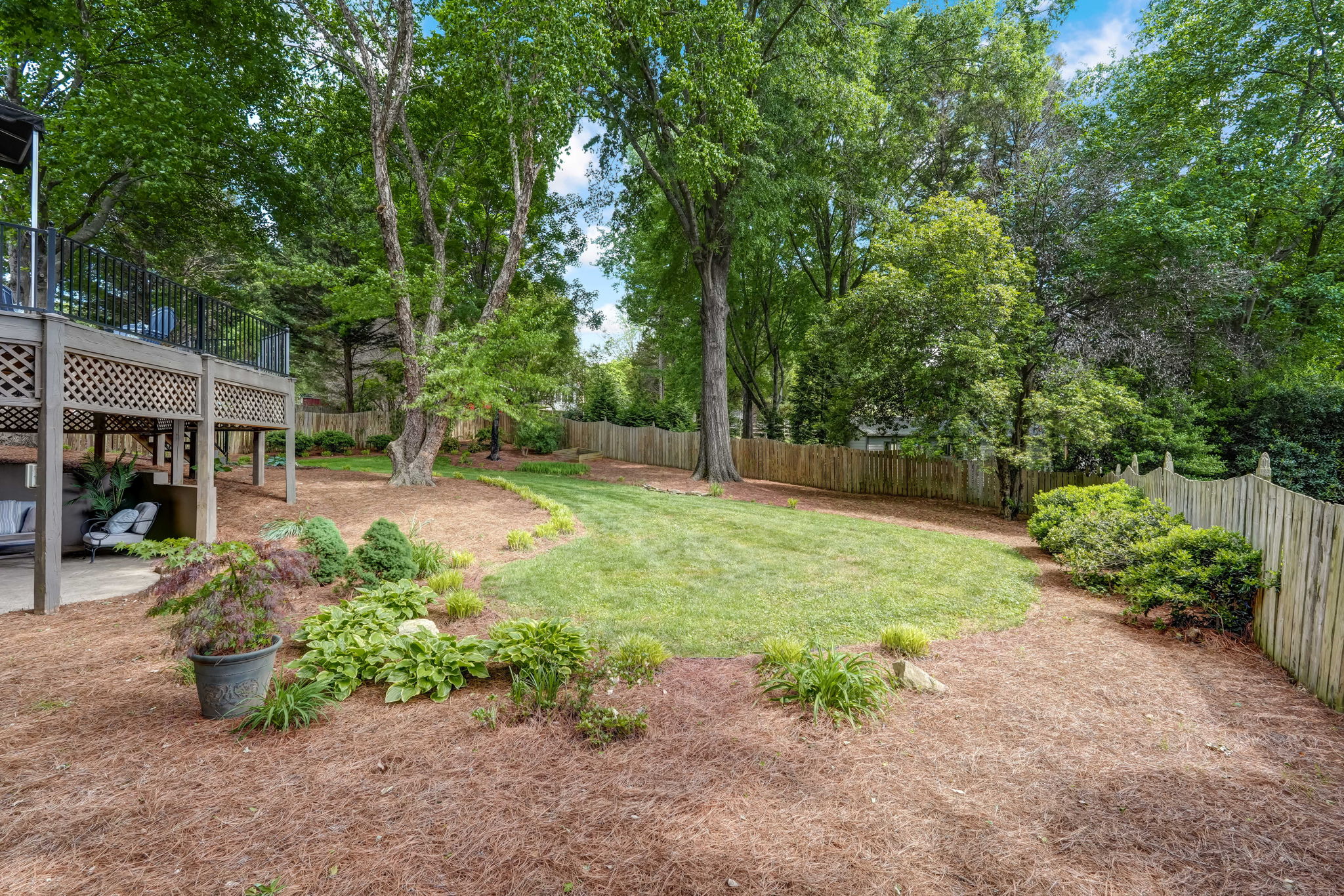 Back Yard