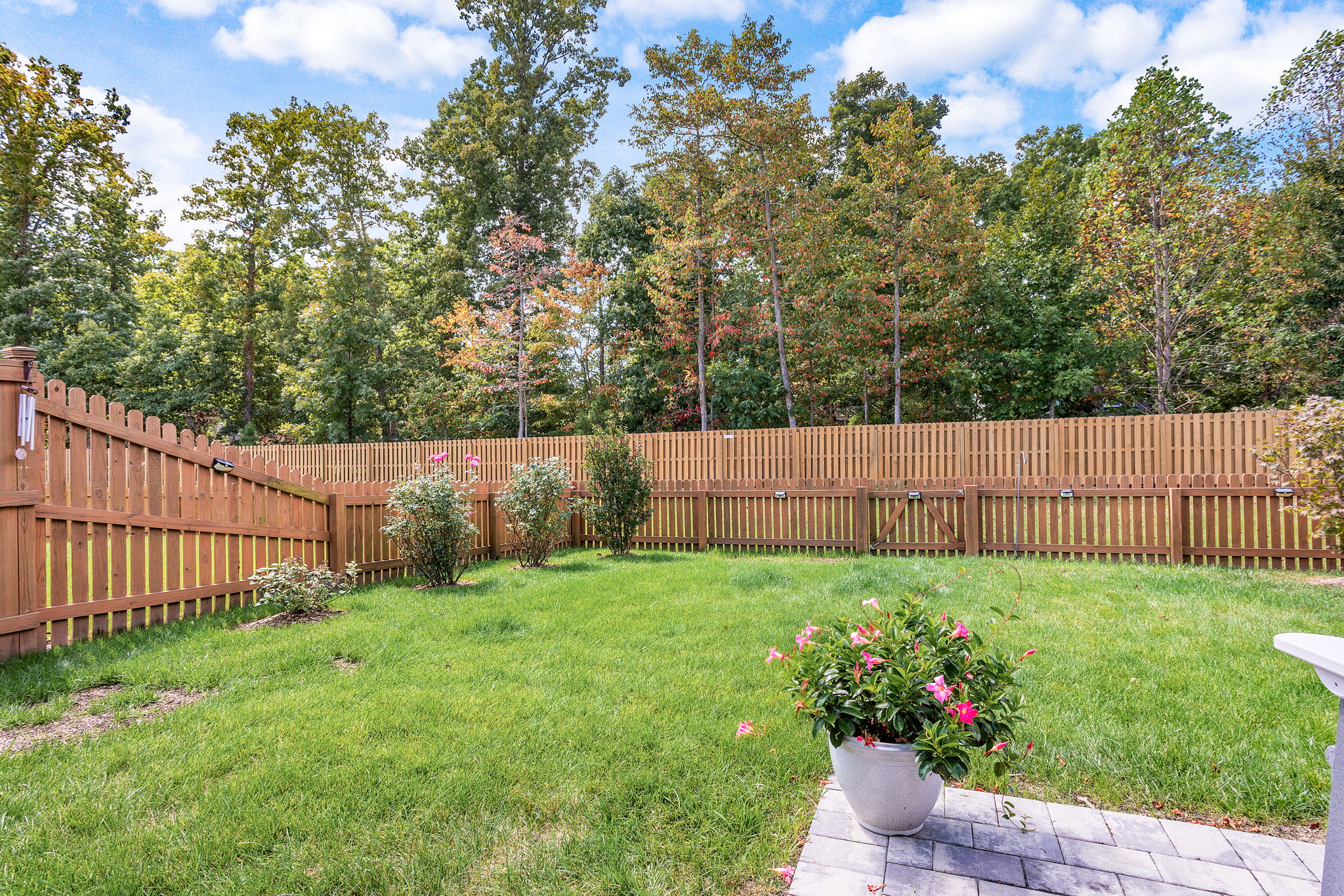 30-Backyard