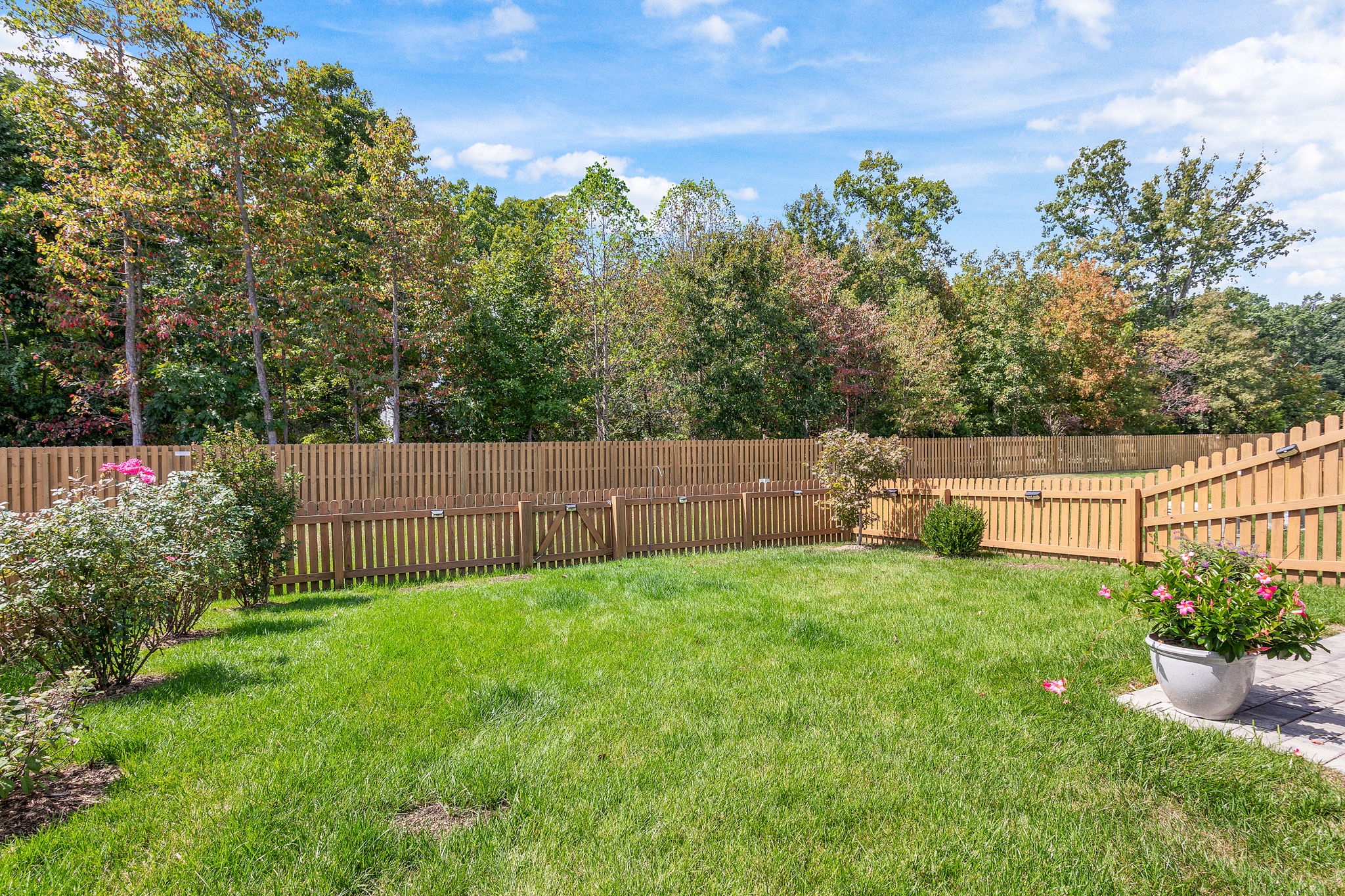 31-Backyard