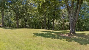 DJI_20260710134529_0071_D.jpg