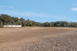 Pondhawk Ln-0702-904.jpg