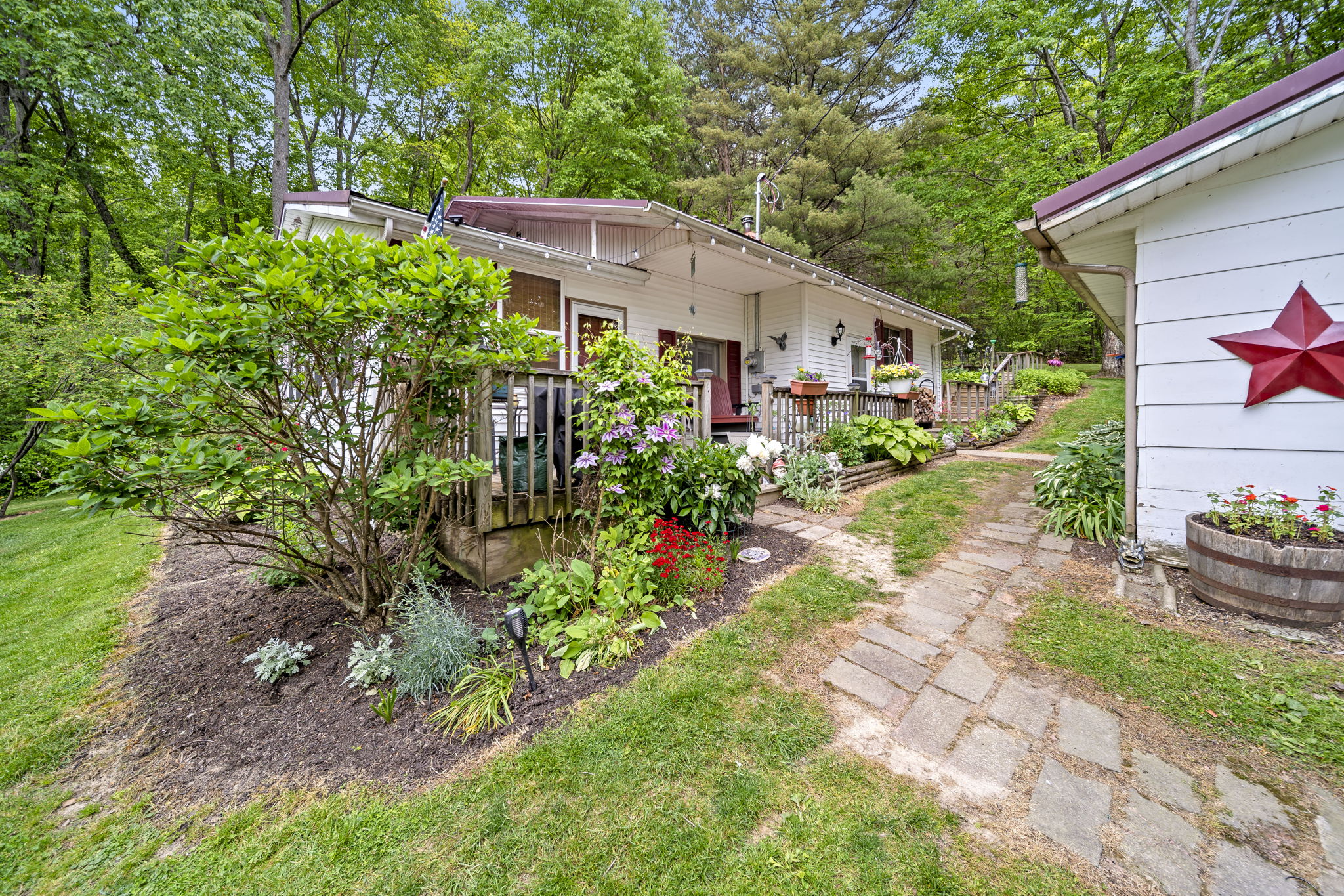  Photo 83