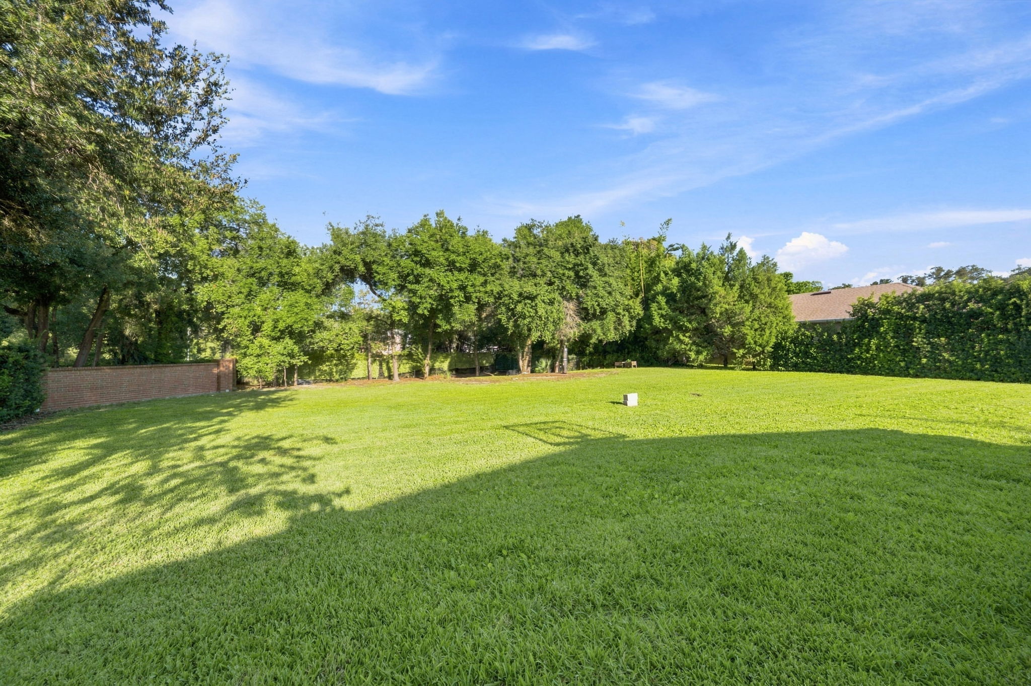 Backyard2