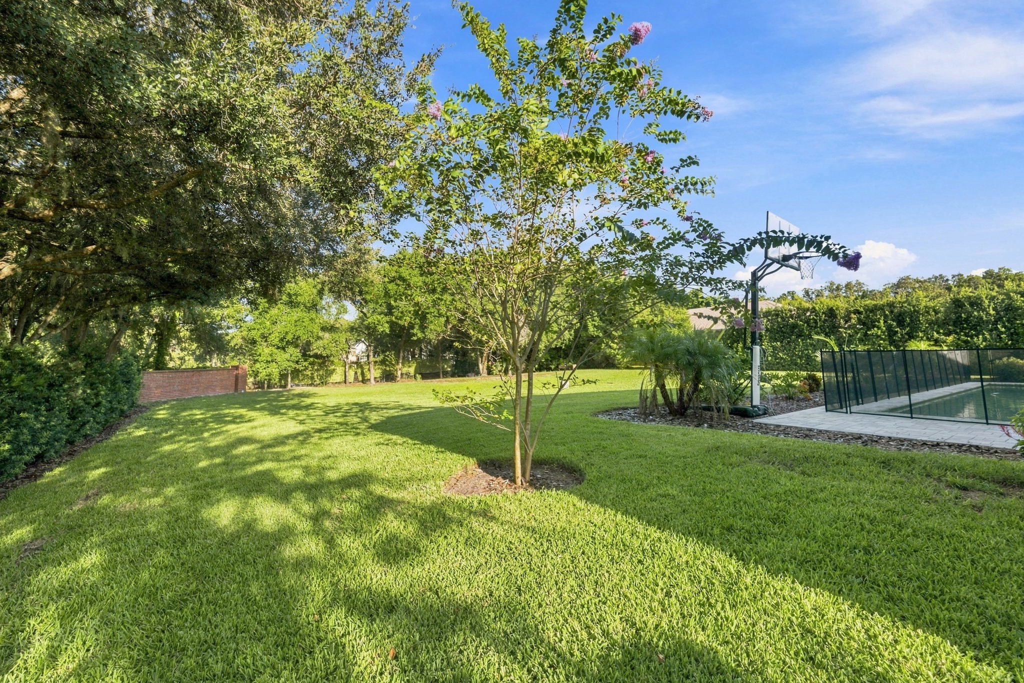 Backyard5b