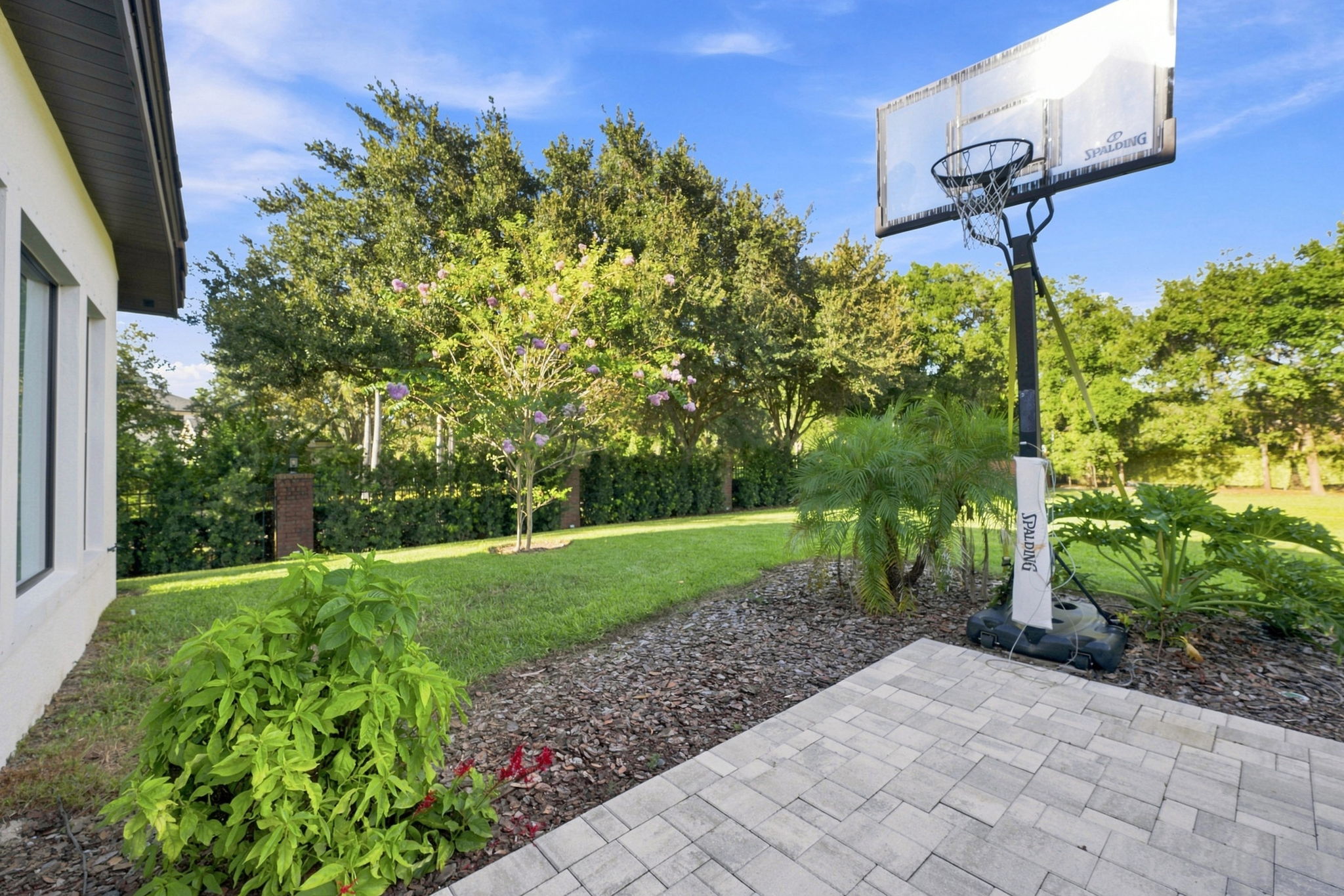 Backyard6