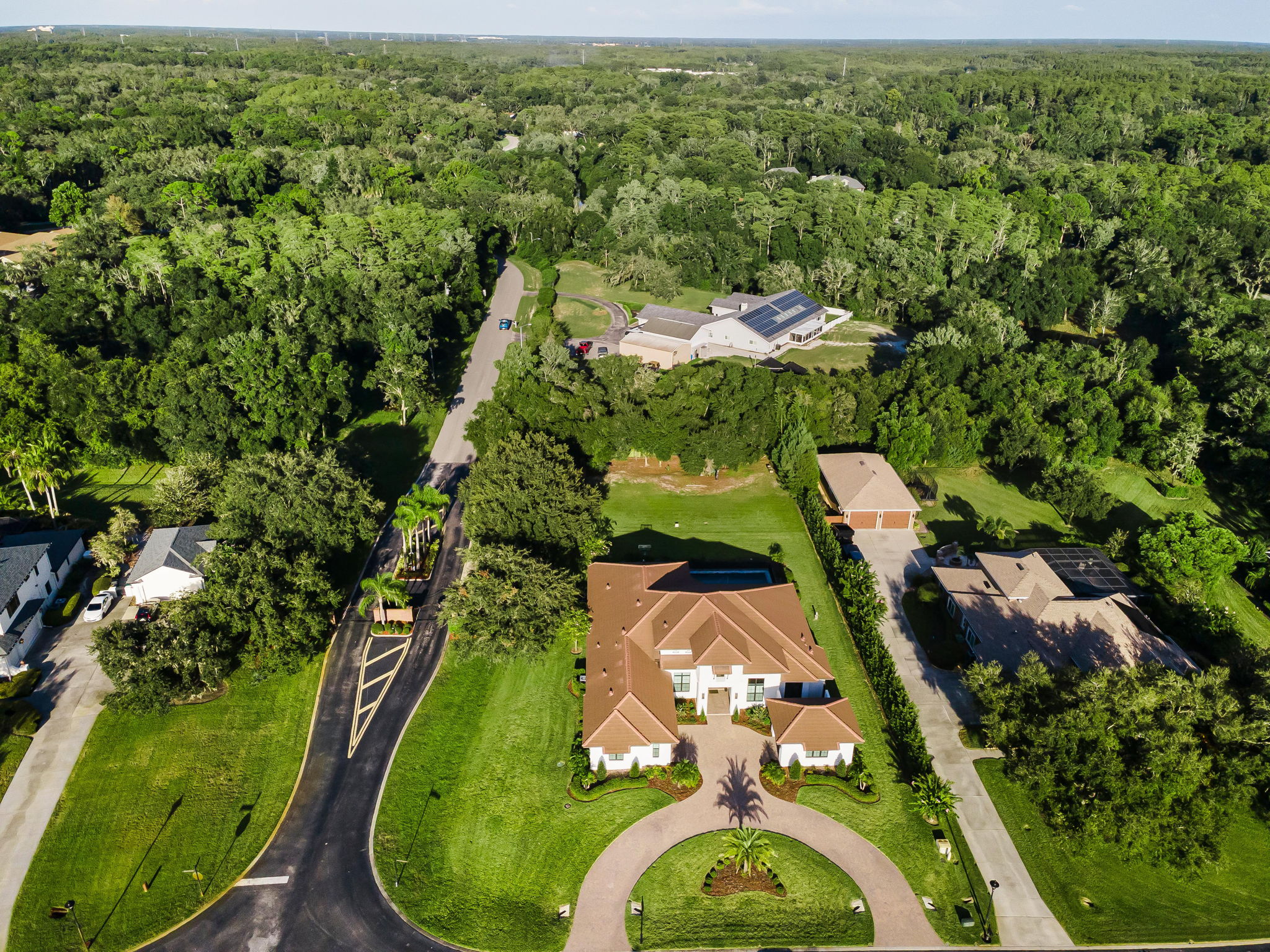 Aerial (6)