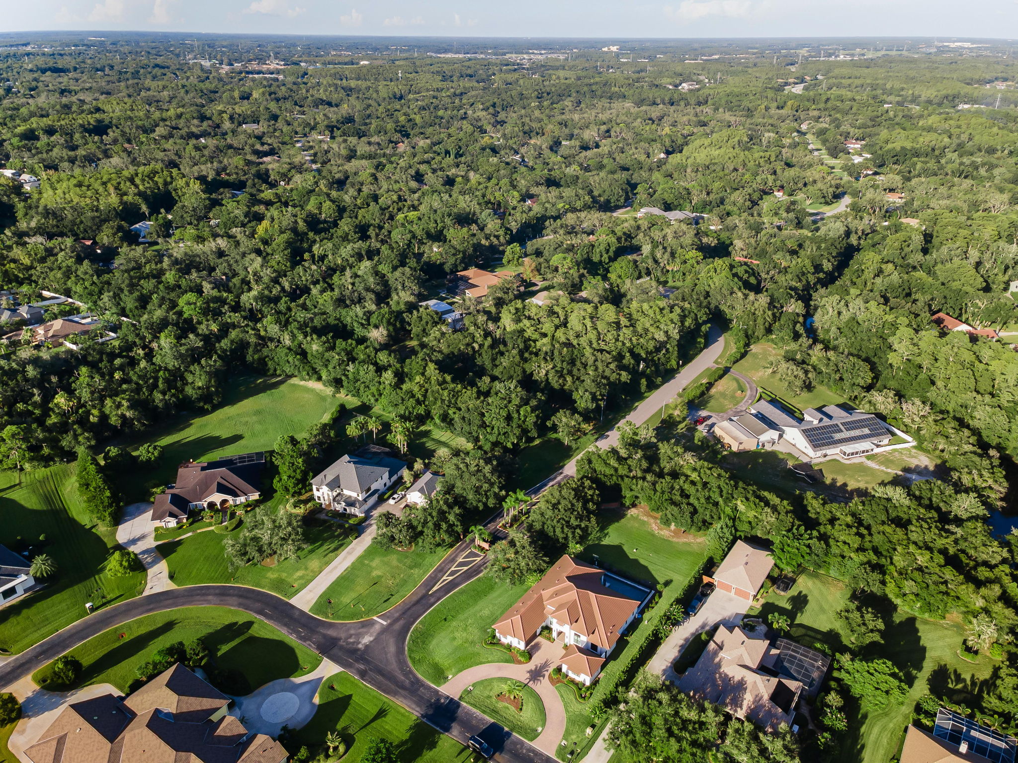 Aerial (11)