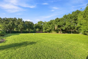Backyard1