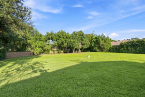 Backyard2