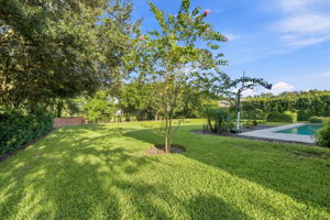 Backyard5a