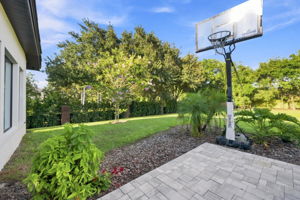 Backyard6