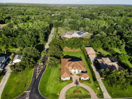 Aerial (6)
