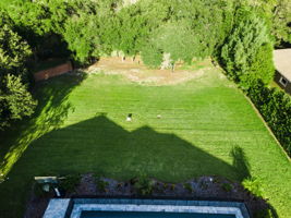 Aerial (26)