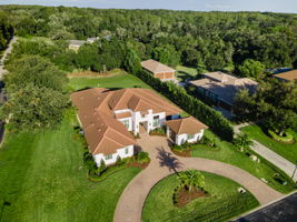 Aerial (28)