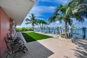 Backyard1