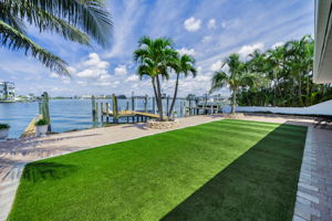 Backyard4