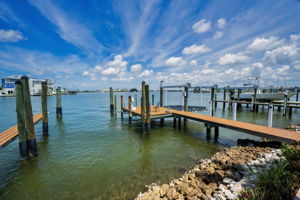 Dock1