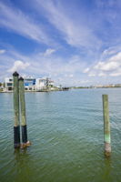 Dock6 View