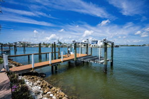 Dock11