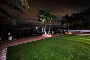 Backyard40