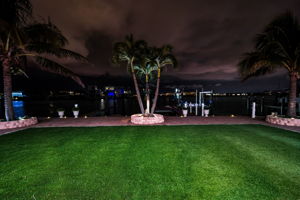 Backyard43