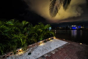 Backyard44