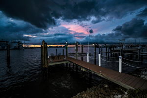 Dock20