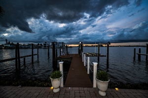 Dock23