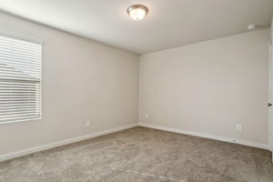 Houston - Magnolia Place - 14230 Rolling Pastures Dr - 037