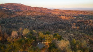 14233 Wintu Way, Redding, CA 96003, USA Photo 29