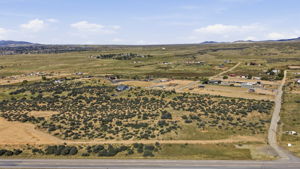 Aerial 4