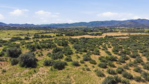 Lot Photo 6