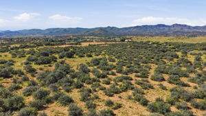 Lot Photo