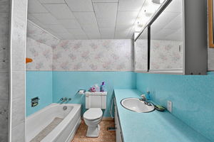  Photo 50