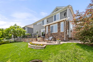 Patio & Backyard