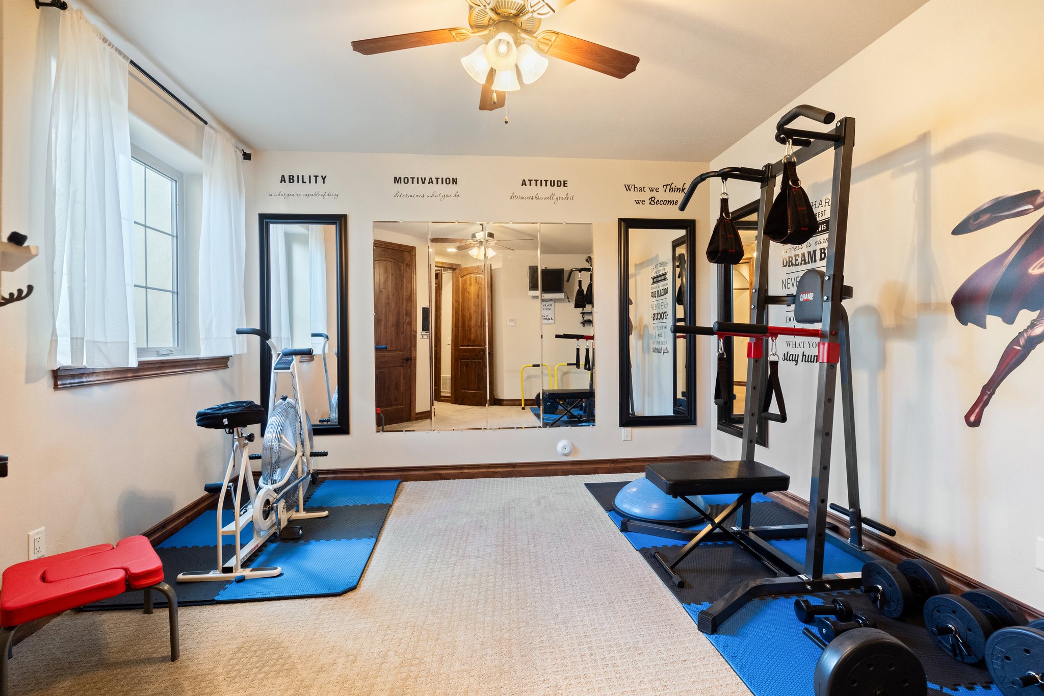 Basement Exercise Room