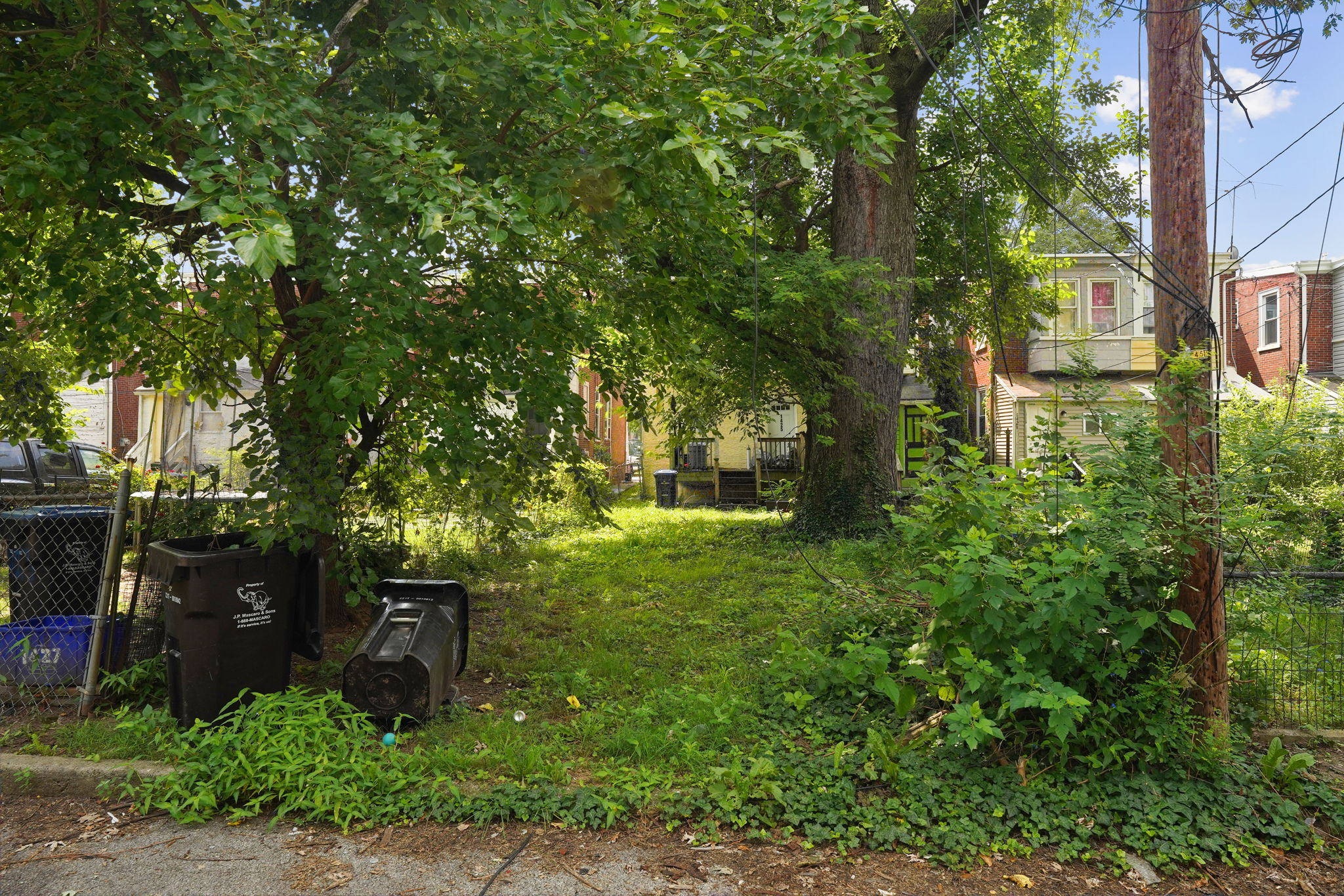  Photo 15