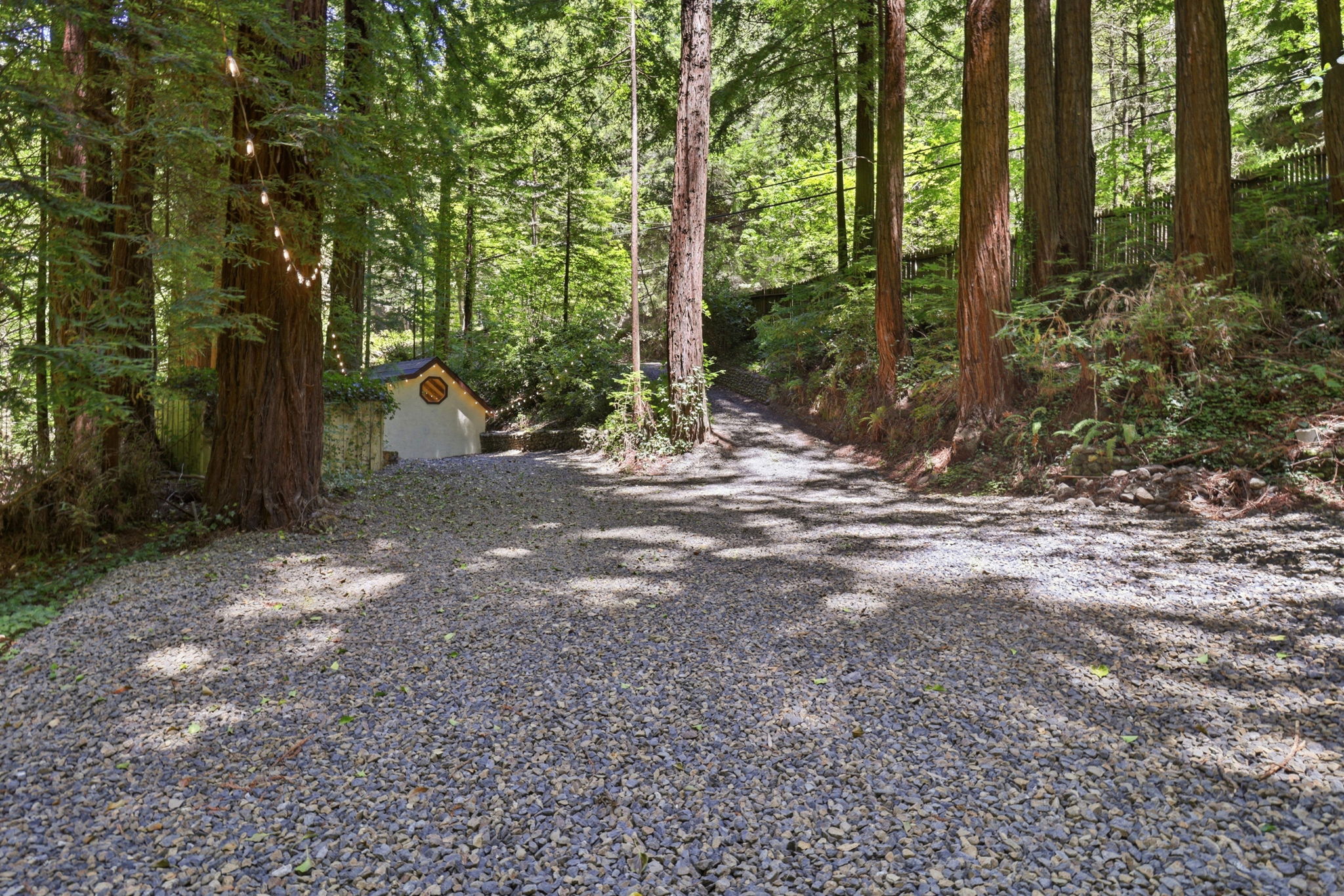 002_F8_14251 Pescadero Creek Rd 4