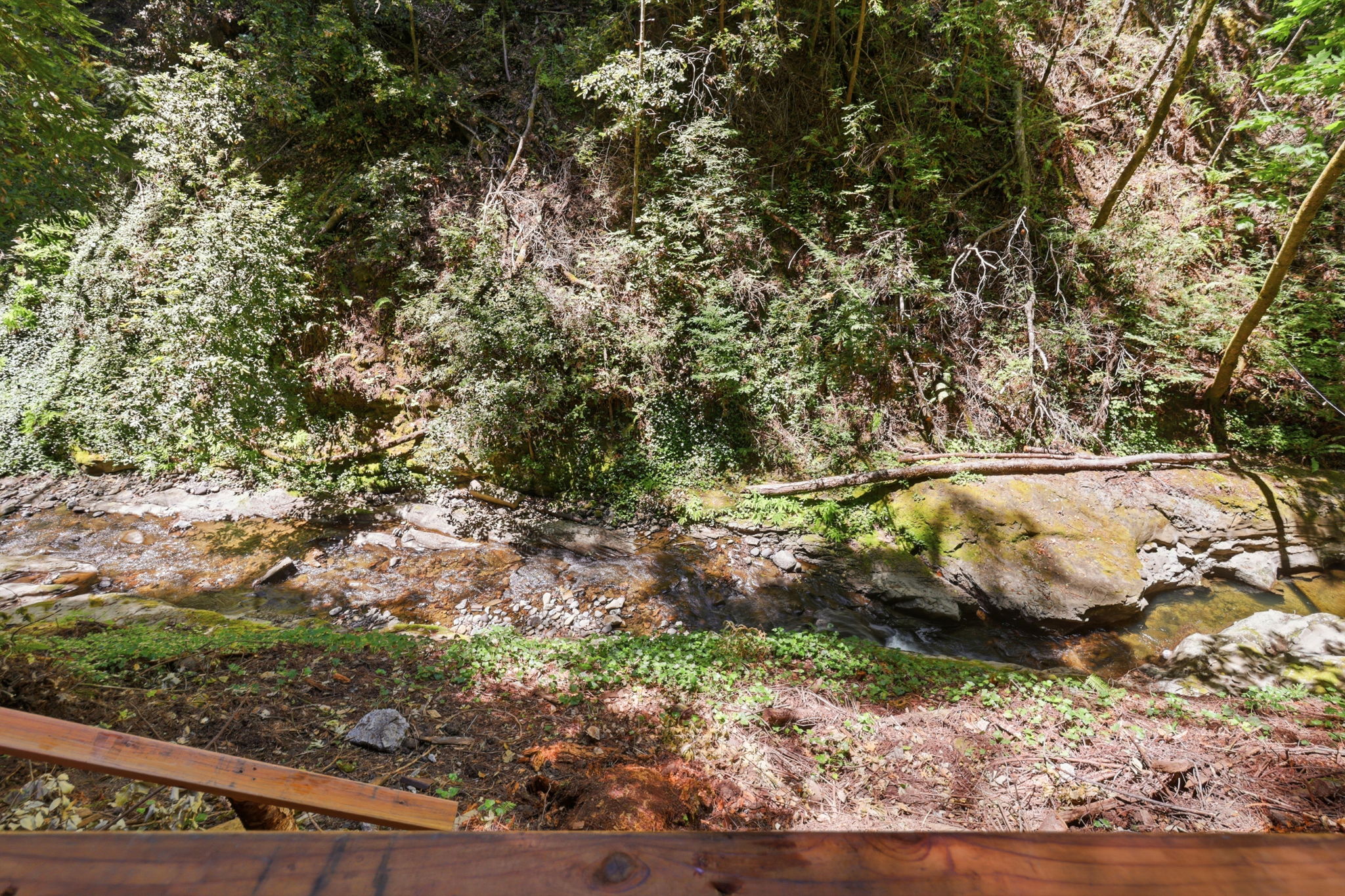 024_F8_14251 Pescadero Creek Rd 4