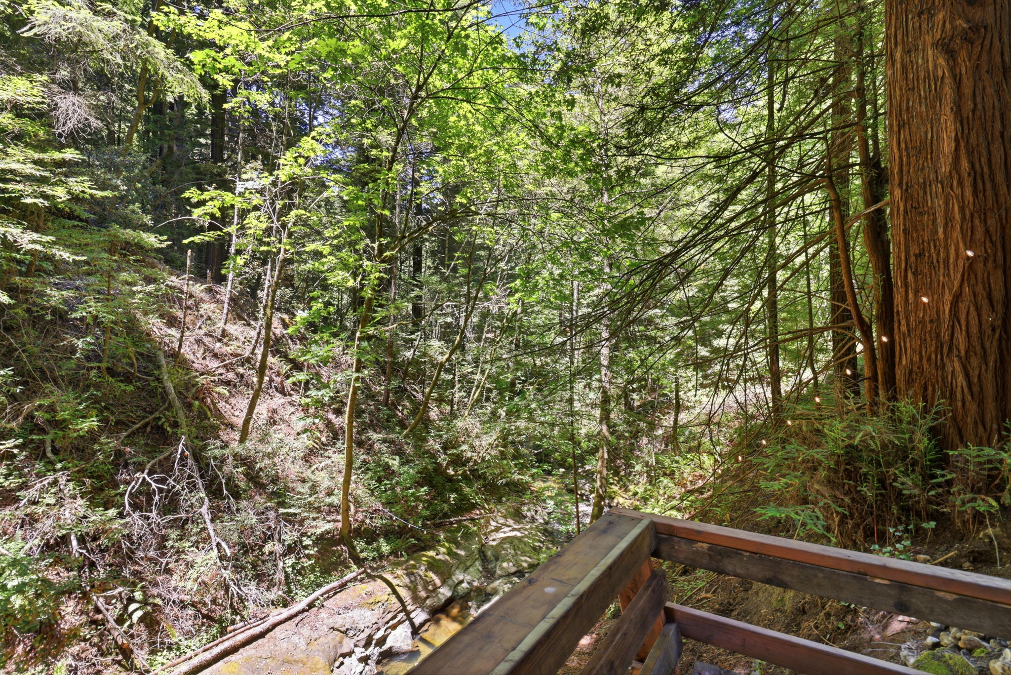 025_F8_14251 Pescadero Creek Rd 4