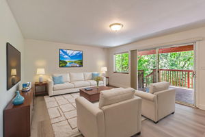Bonus Room Downstairs - Virtually Staged
