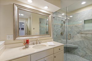 Apt Bathroom with walkin shower