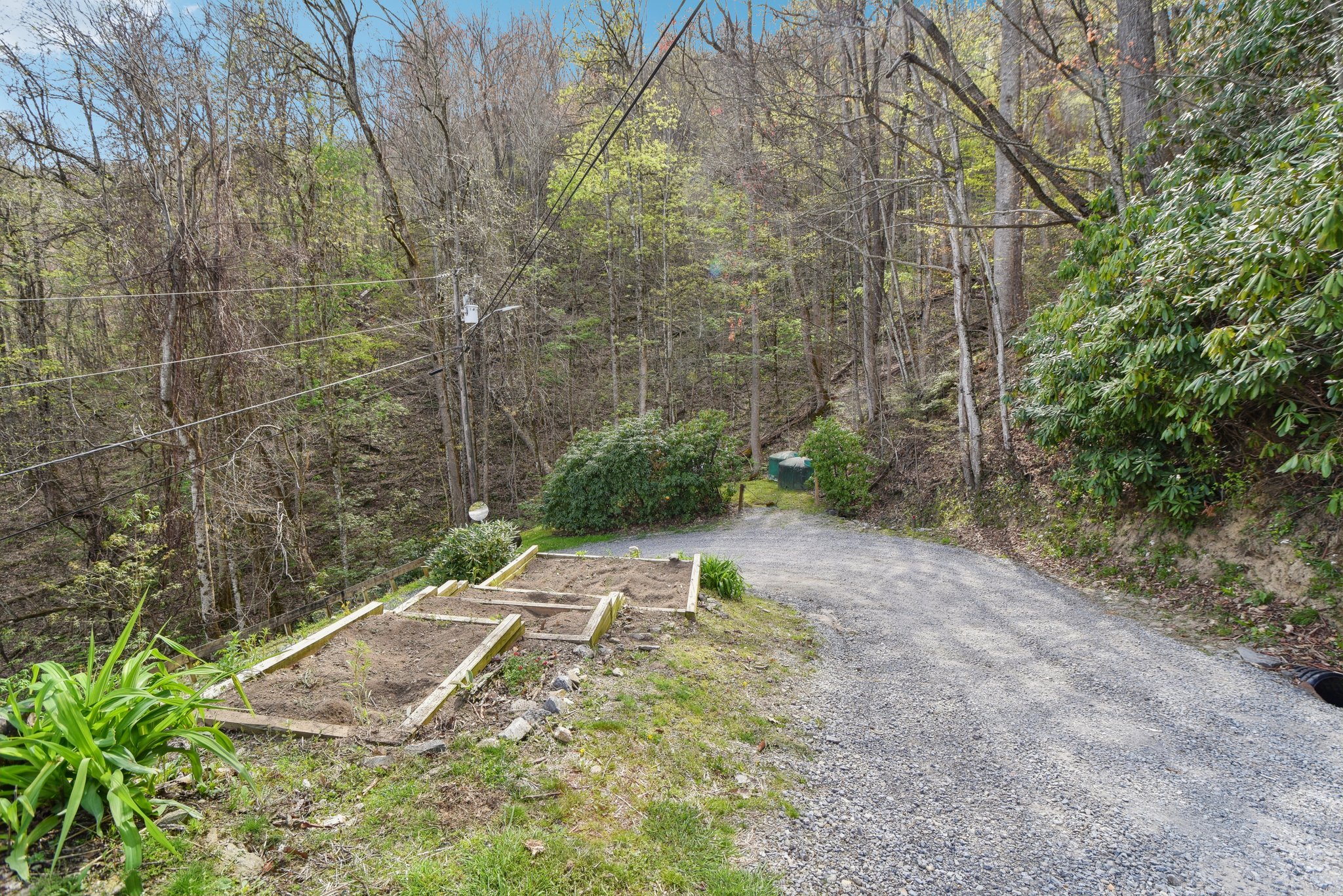 Setzercove Rd-1804-034.jpg