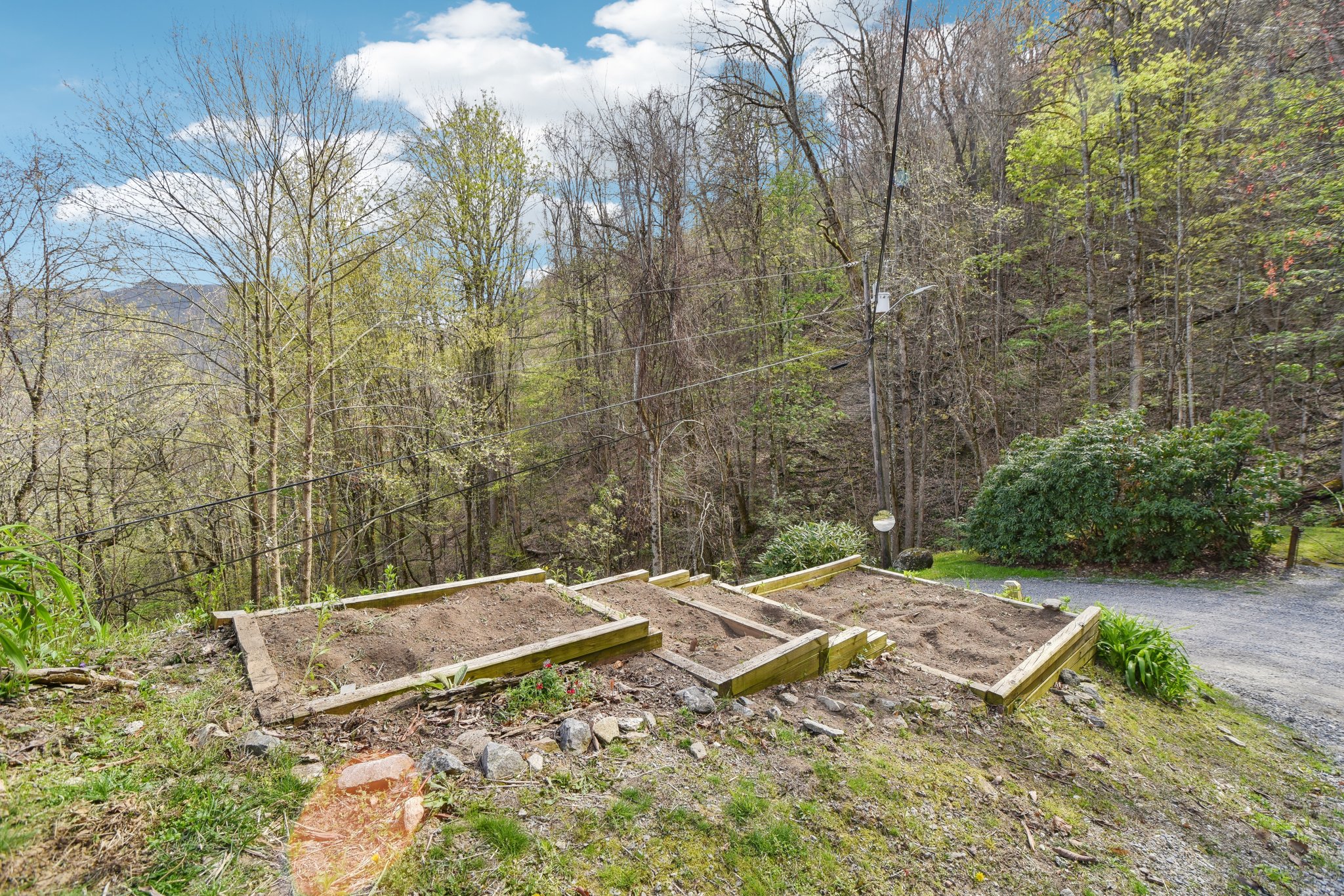 Setzercove Rd-1804-035.jpg