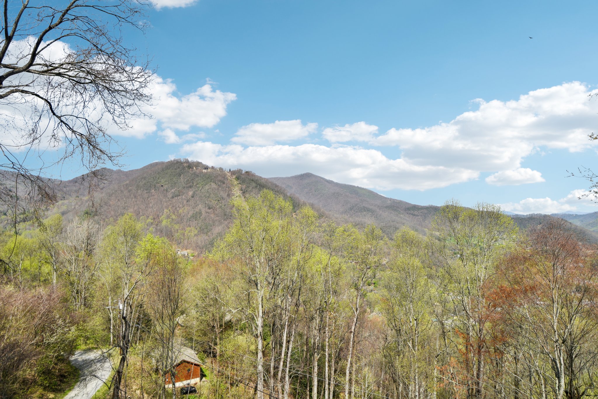 Setzercove Rd-1804-038.jpg