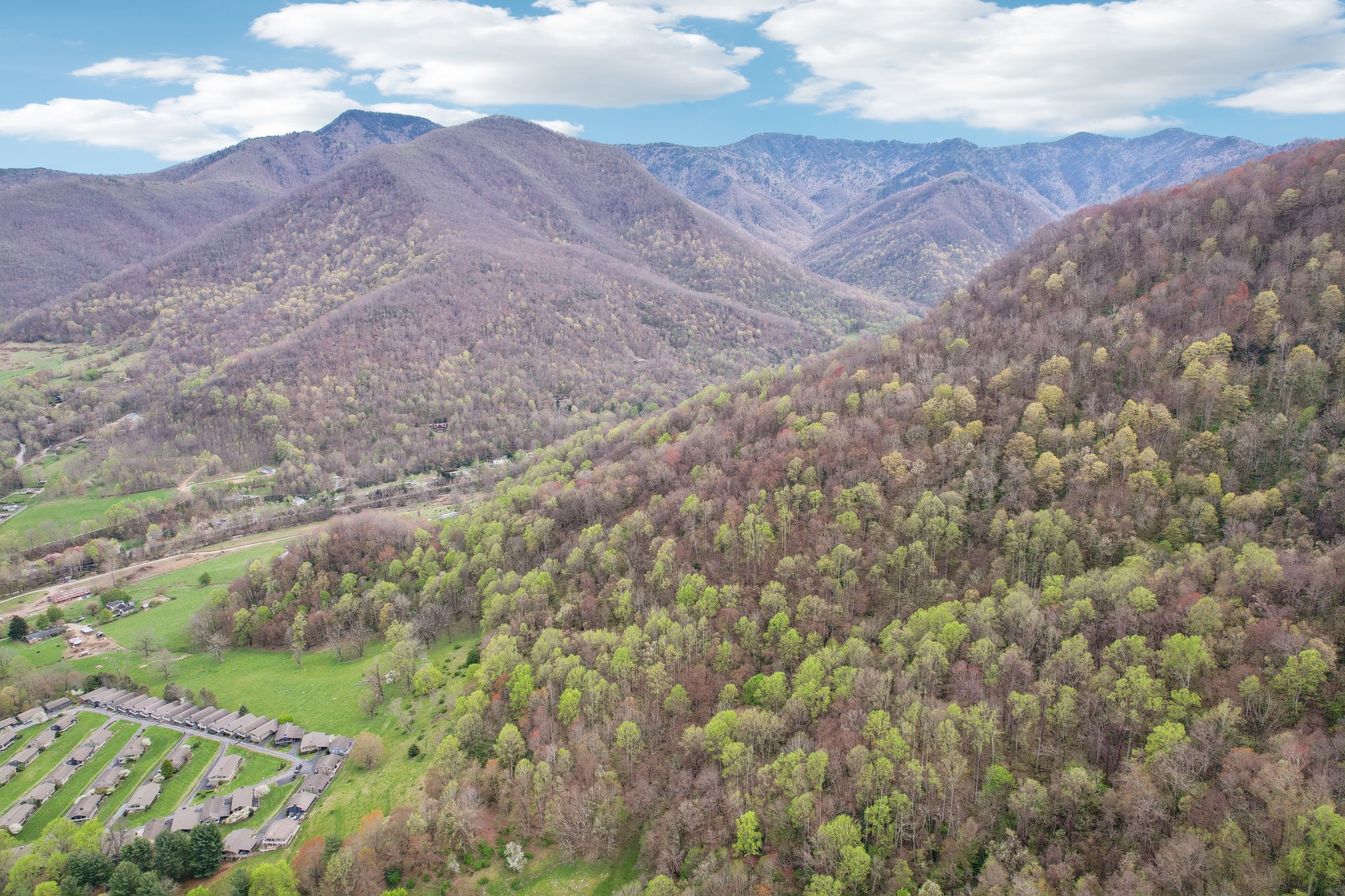 Setzercove Rd-1804-055.jpg